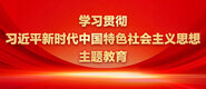 啊啊啊啊男女污污事鸡巴好大太爽了骚逼要烂了性爱视频学习贯彻习近平新时代中国特色社会主义思想主题教育_fororder_ad-371X160(2)